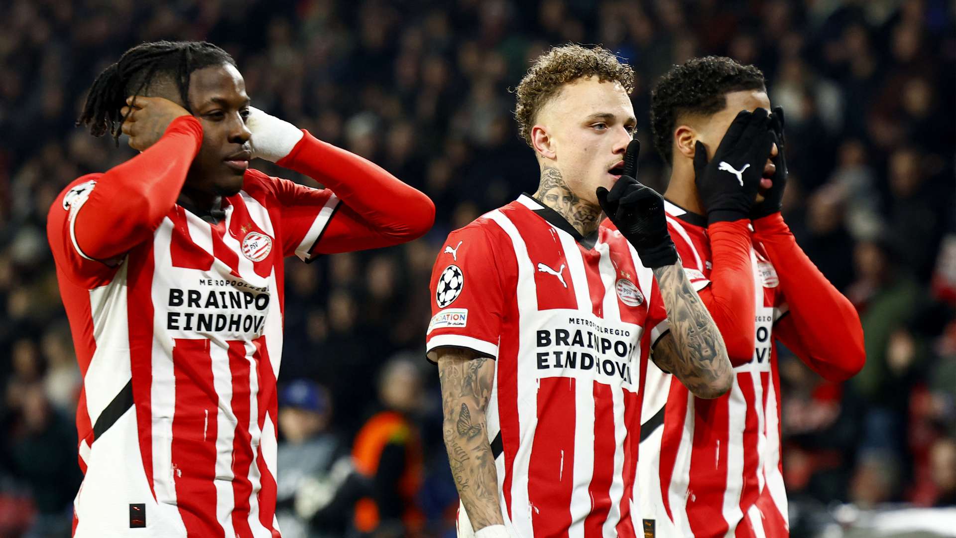 心愿为何引 心愿为何引